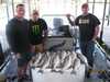 (05/20/2009) - Nice Striped Bass
