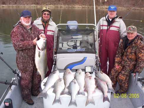 Nice Striped Bass