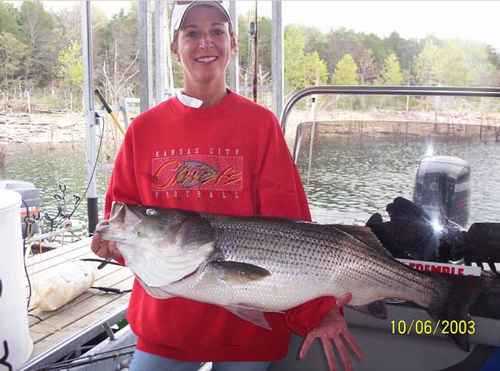 Striper fishing at it's best