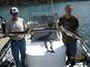 (08/02/2009) - Nice Striped Bass