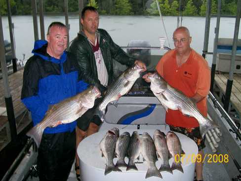 Nice Striped Bass