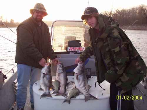 Nice Striped Bass