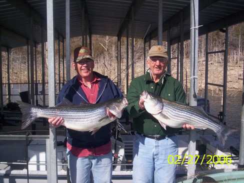 Nice Striped Bass