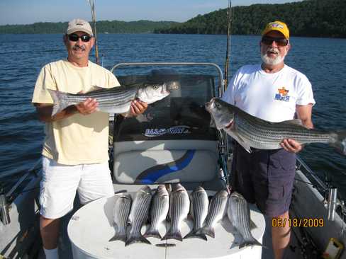 Nice Striped Bass