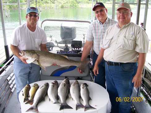 Nice Striped Bass