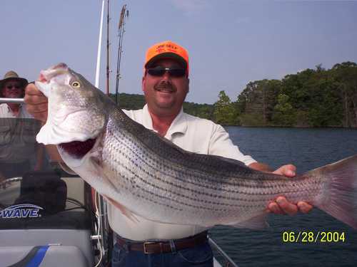 Nice Striped Bass