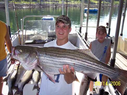 Nice Striped Bass