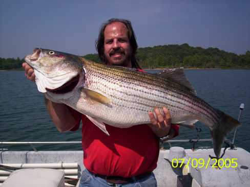 Nice Striped Bass