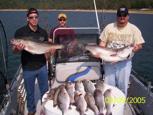 Nice Striped Bass