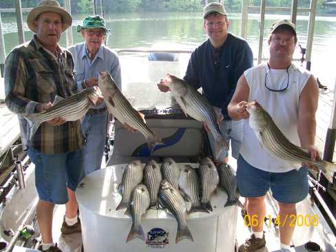 Nice Striped Bass