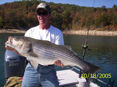 Nice Striped Bass