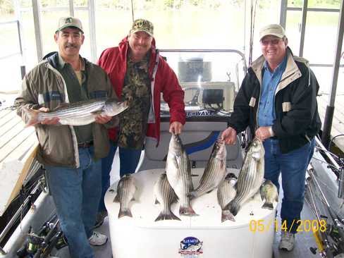 Nice Striped Bass