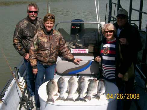 Nice Striped Bass