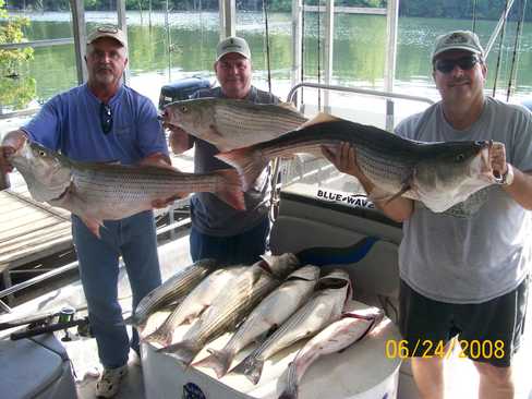 Nice Striped Bass