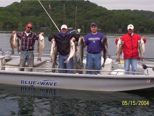 Excellent Striper Fishing