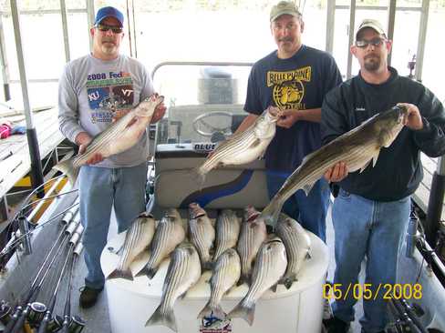 Nice Striped Bass