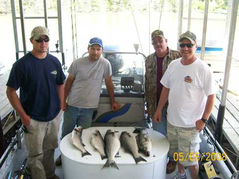 Nice Striped Bass