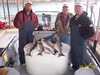 (04/09/2004) - Nice Striped Bass