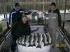 (11/24/2008) - Nice Striped Bass