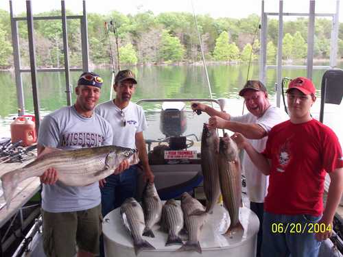 Nice Striped Bass