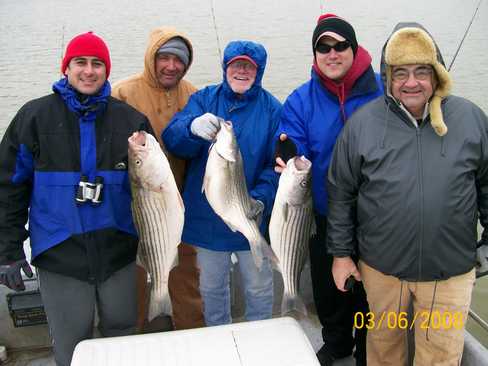 Nice Striped Bass