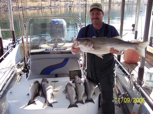 Nice Striped Bass