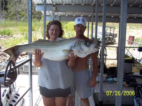 Nice Striped Bass