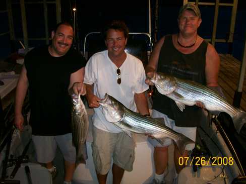 Nice Striped Bass