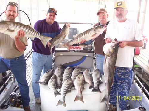 Nice Striped Bass