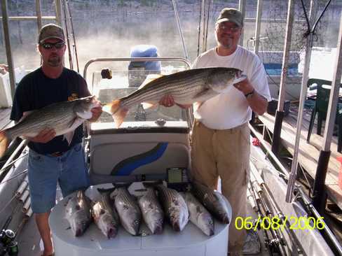 Nice Striped Bass