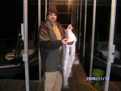 Nice Striped Bass