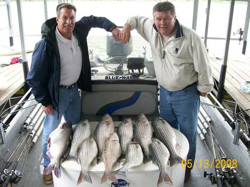 Nice Striped Bass