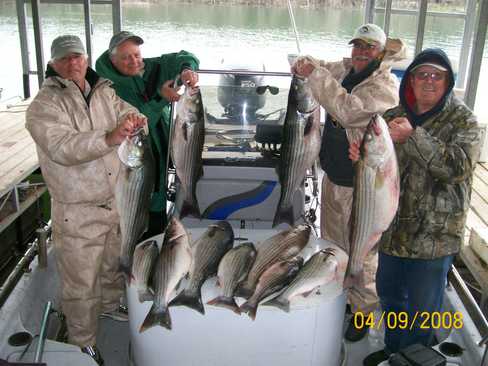 Nice Striped Bass