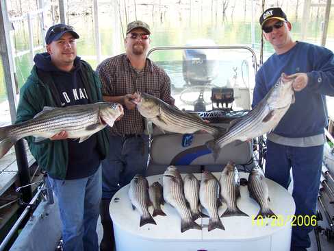 Nice Striped Bass