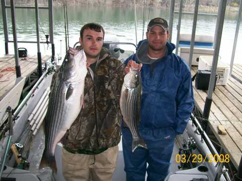 Nice Striped Bass