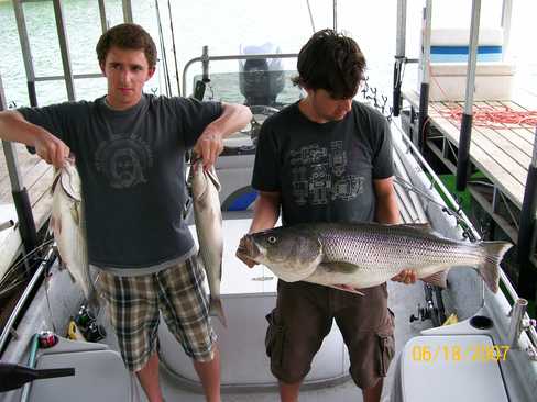 Nice Striped Bass