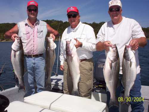 Nice Striped Bass