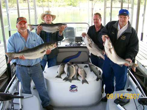 Nice Striped Bass