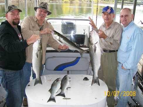 Nice Striped Bass