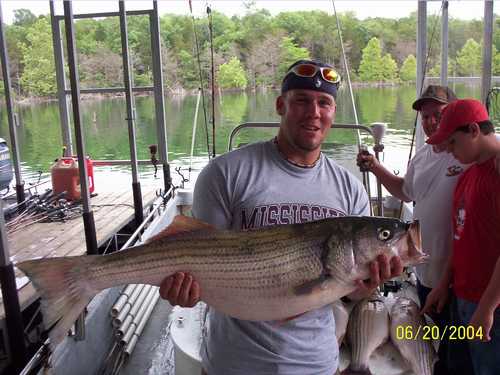 Nice Striped Bass