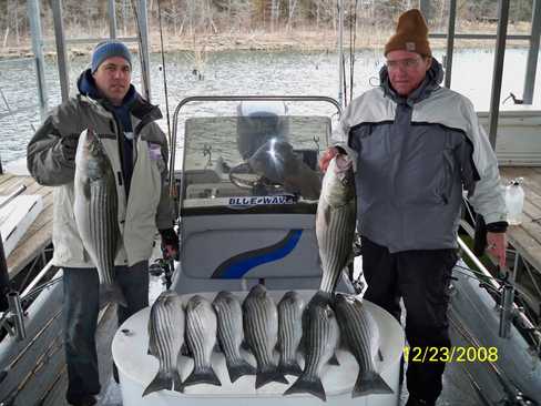 Nice Striped Bass