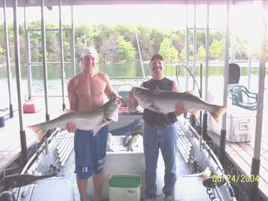 Nice Striped Bass