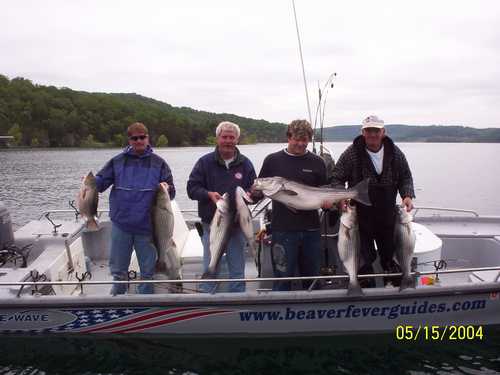 Nice Striped Bass