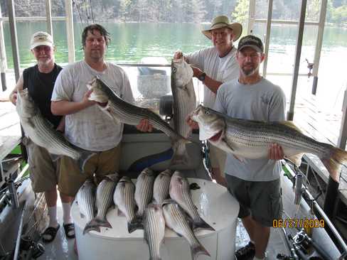 Nice Striped Bass