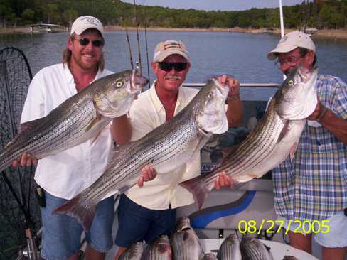 Nice Striped Bass