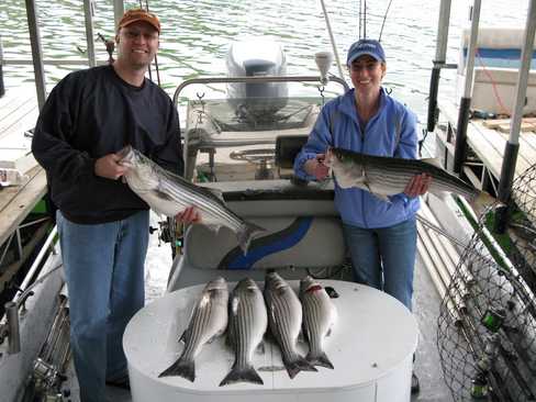 Nice Striped Bass