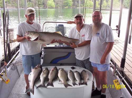 Nice Striped Bass