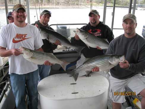 Nice Striped Bass