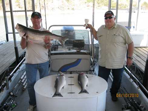 Nice Striped Bass