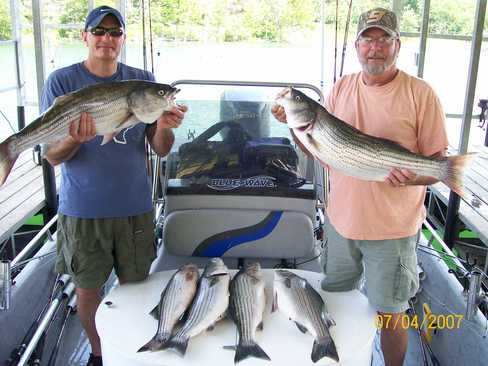Nice Striped Bass